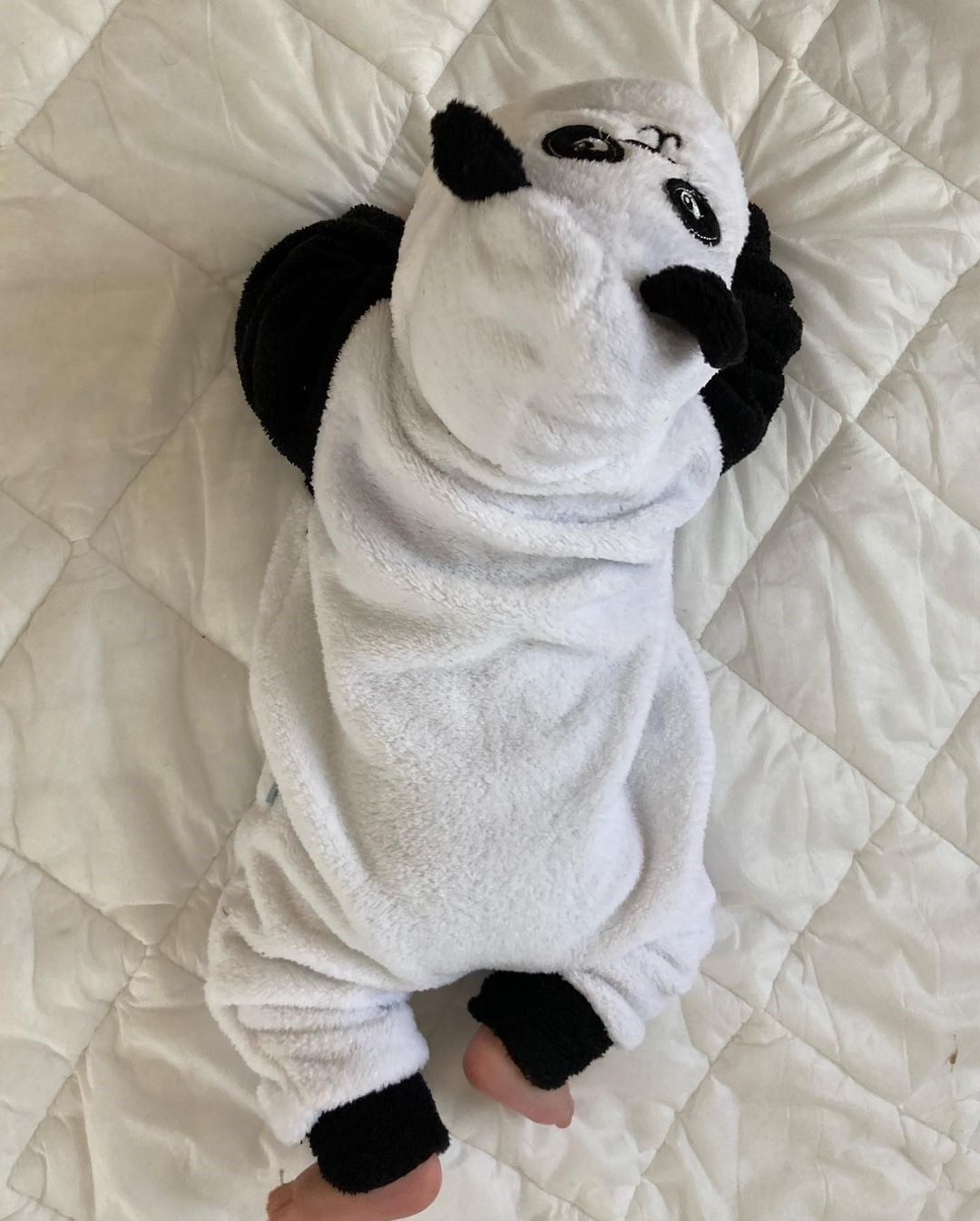 panda kapşonlu %100 welsoft Kışlık Tulum