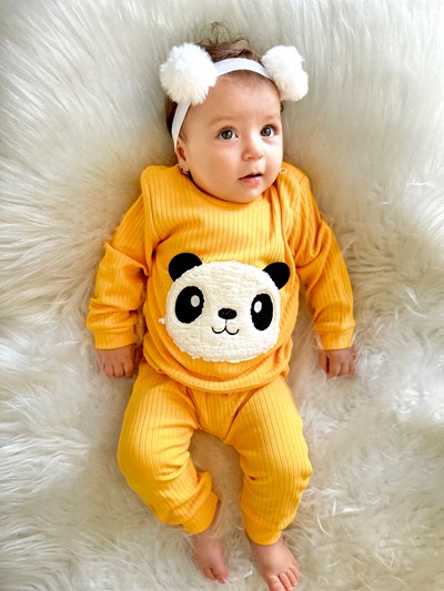 Panda Baskılı Ribanalı Kumaş Arkası Panda Detaylı 2’li Mevsimlik Takım