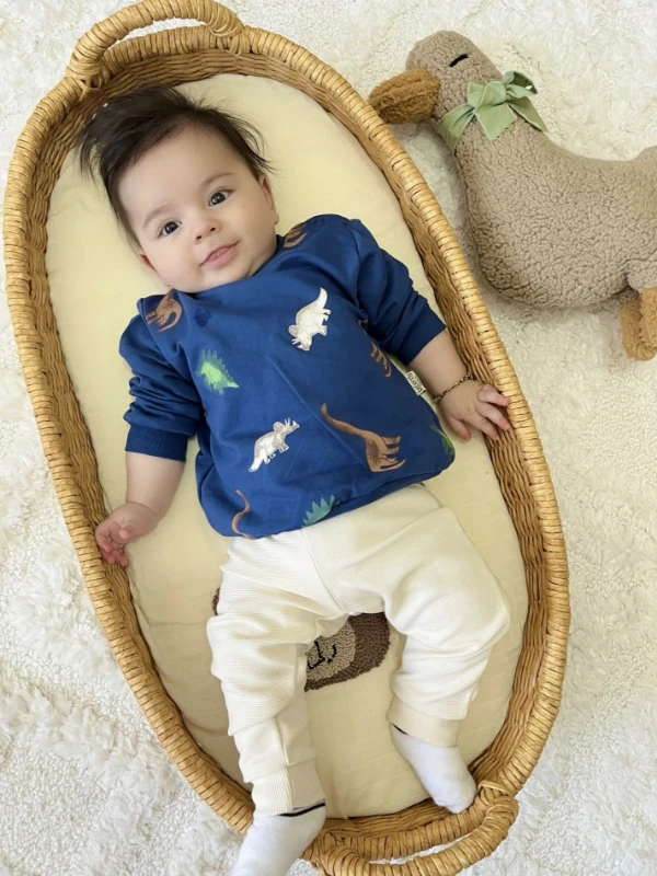 Dino %100 Pamuk Premium Kalite 2’li Takım