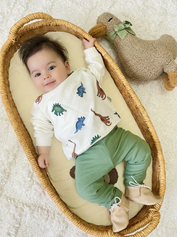 Dino %100 Pamuk Premium Kalite 2’li Takım