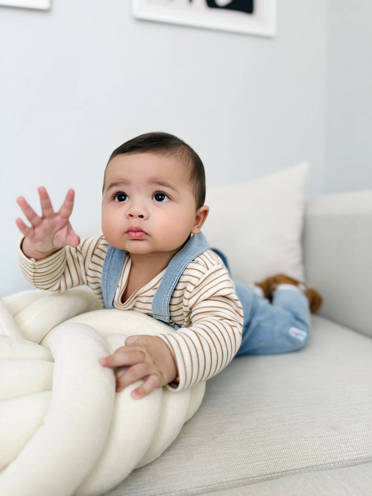 Cute Dog  Desenli %100 Pamuk Likralı Kot 2’li Takım