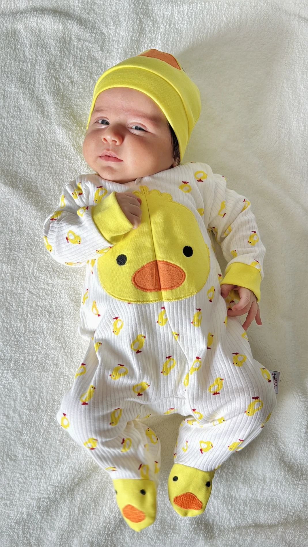 Civciv Desenli Ayaklı Şapkalı Unısex Mevsimlik Tulum