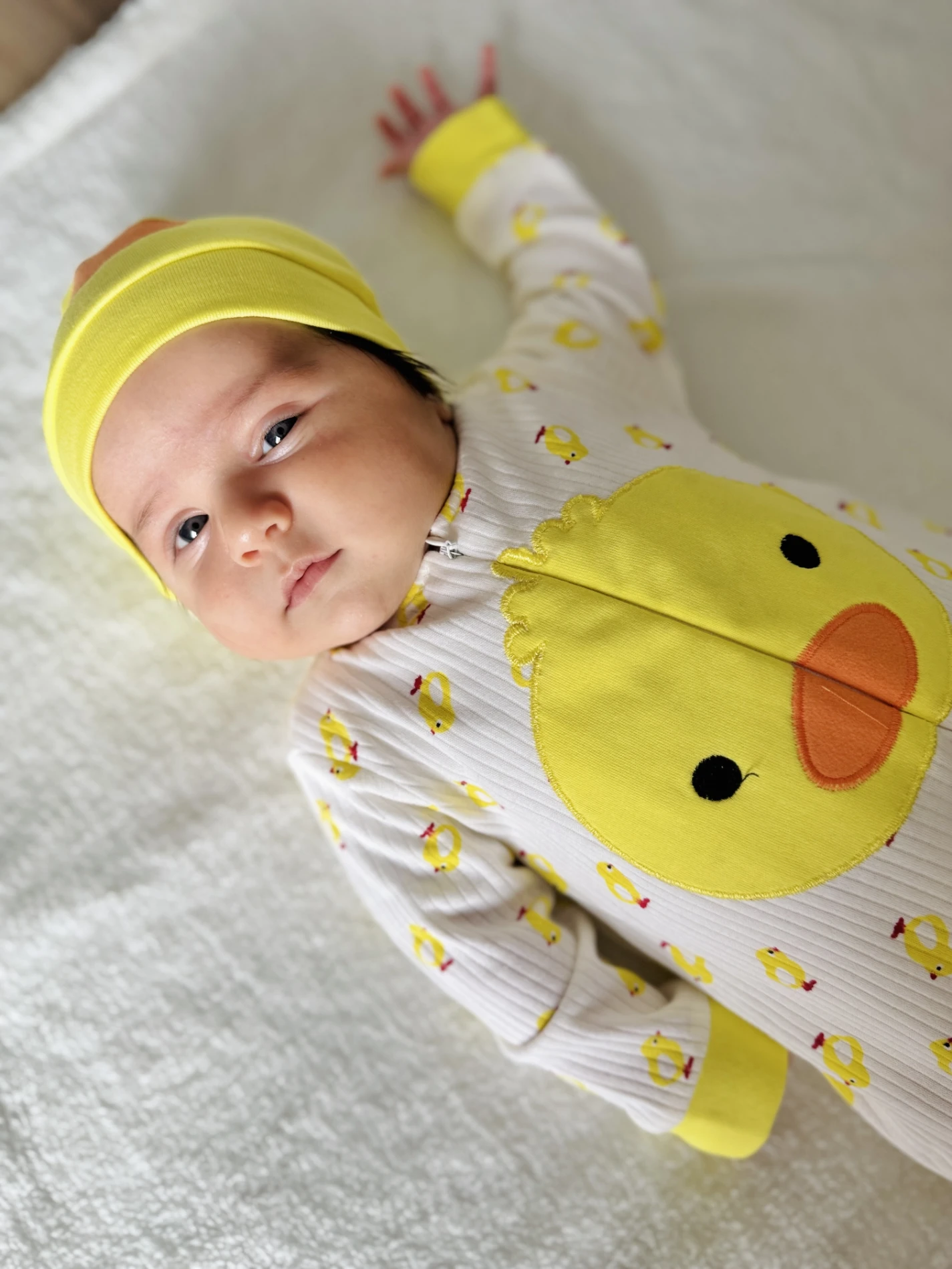 Civciv Desenli Ayaklı Şapkalı Unısex Mevsimlik Tulum