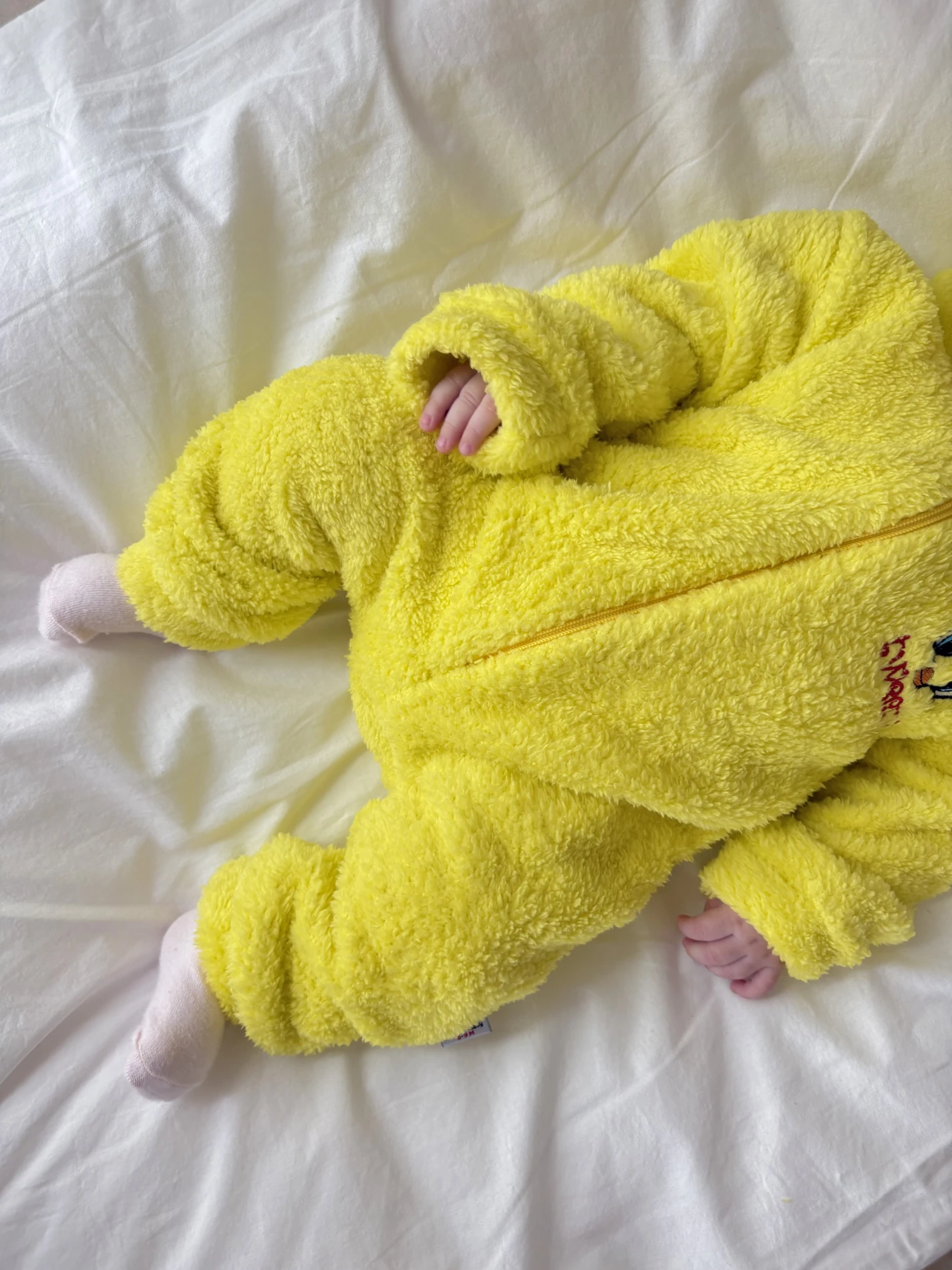 Tweety Desenli Kışlık Welsoft Yumuşacık Tulum 