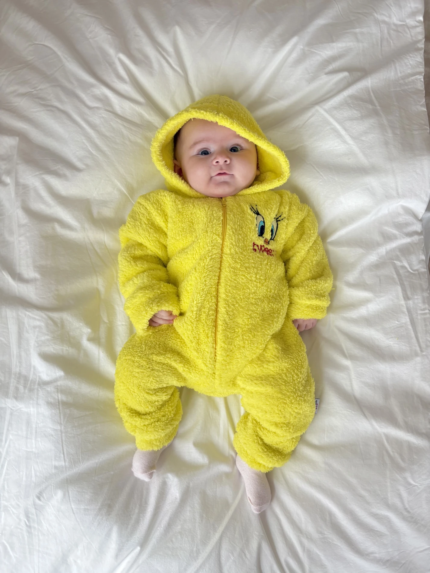Tweety Desenli Kışlık Welsoft Yumuşacık Tulum 