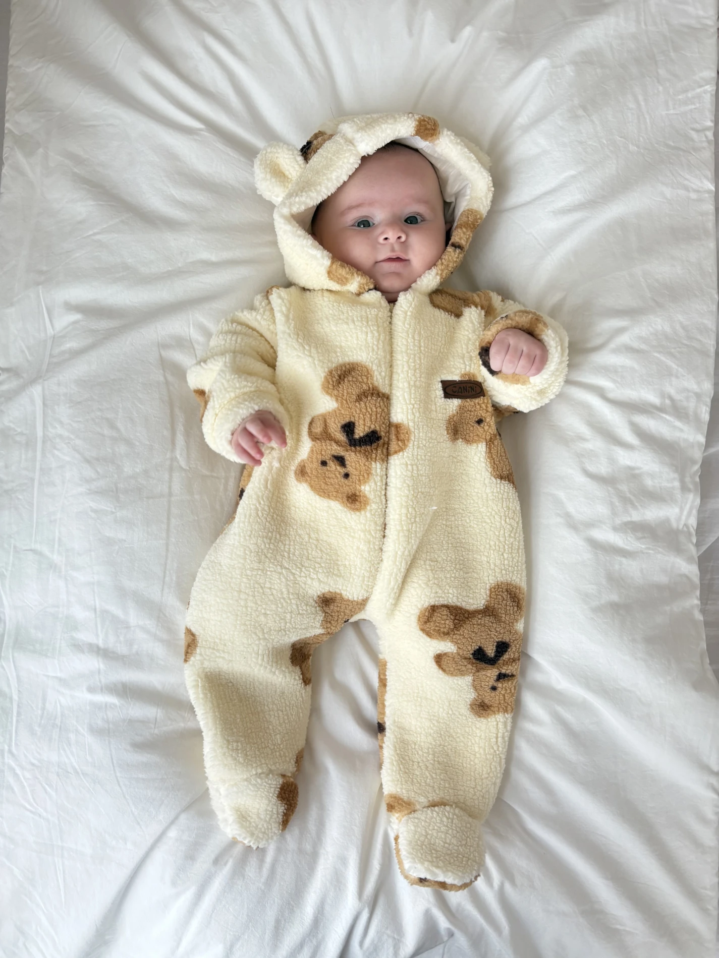 Teddy Bear Astarlı Premium Kışlık Welsoft Polar Tulum 