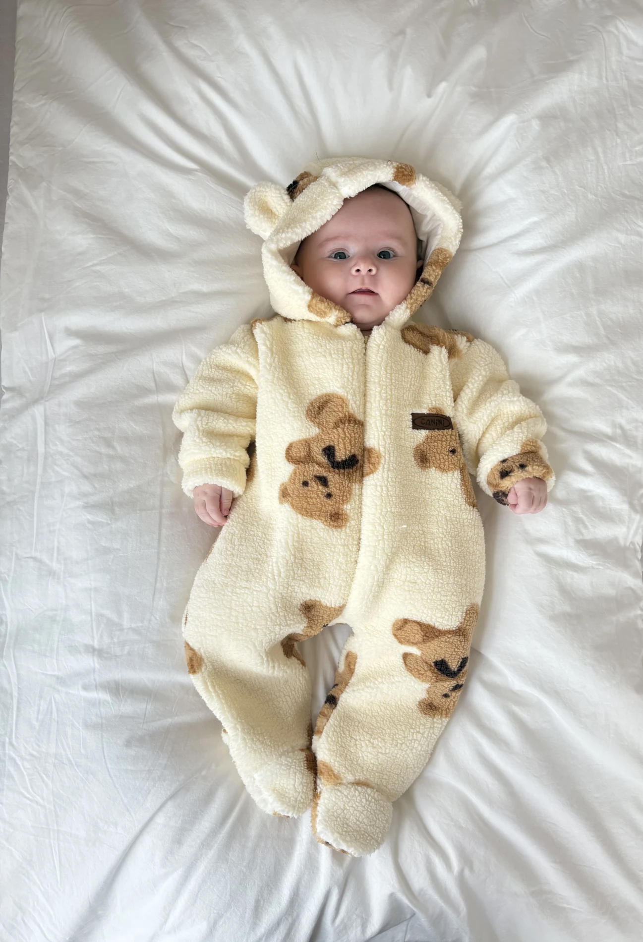 Teddy Bear Astarlı Premium Kışlık Welsoft Polar Tulum 