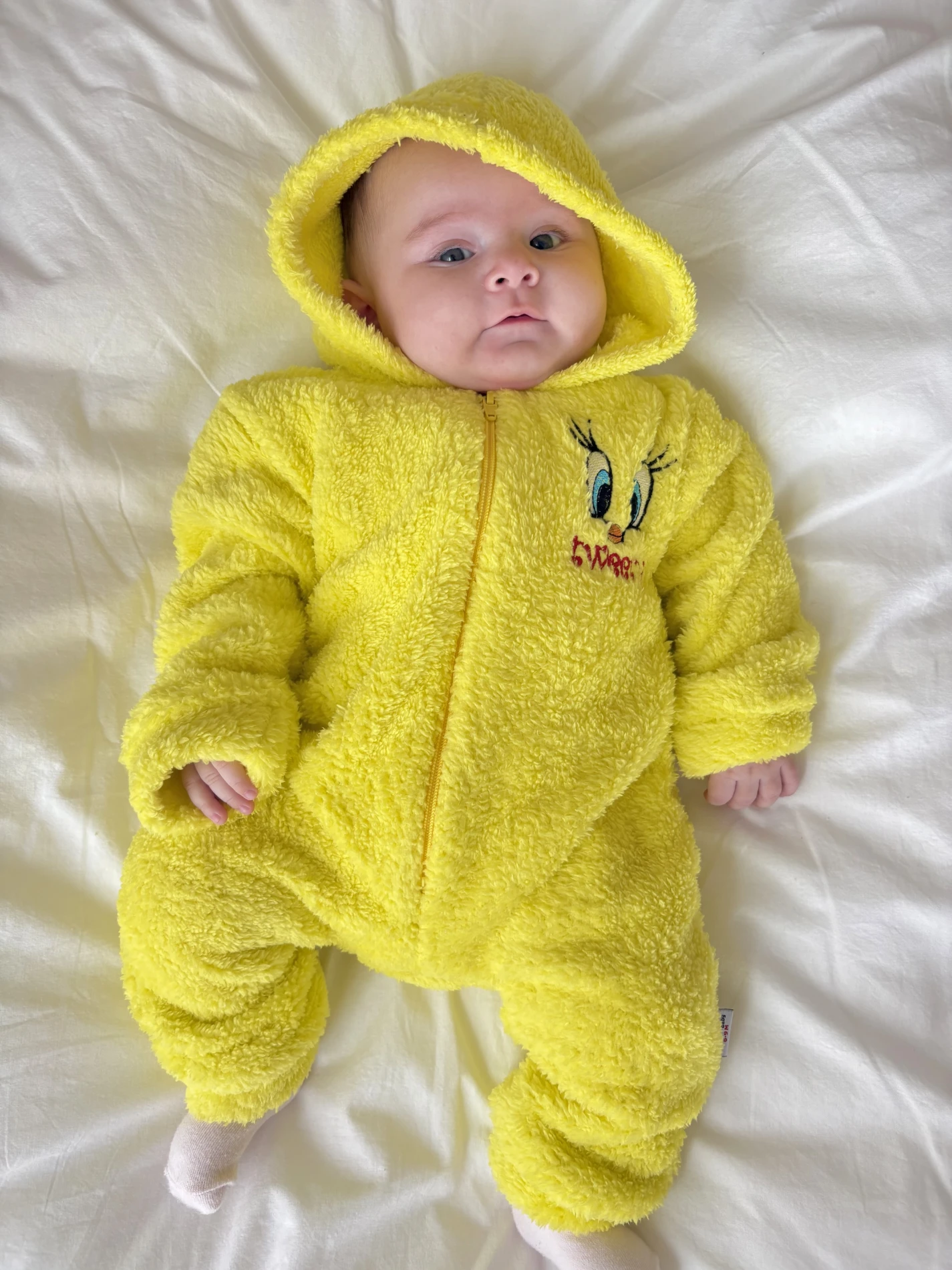 Tweety Desenli Kışlık Welsoft Yumuşacık Tulum 