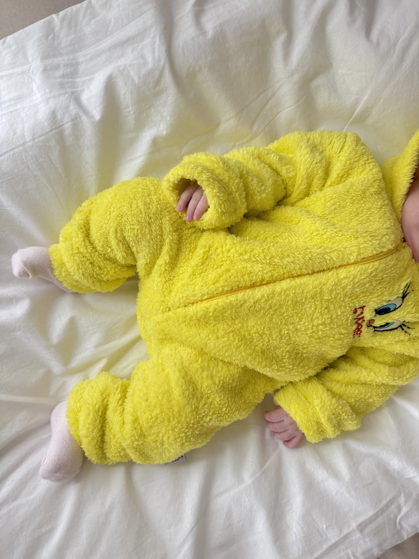 Tweety Desenli Kışlık Welsoft Yumuşacık Tulum 