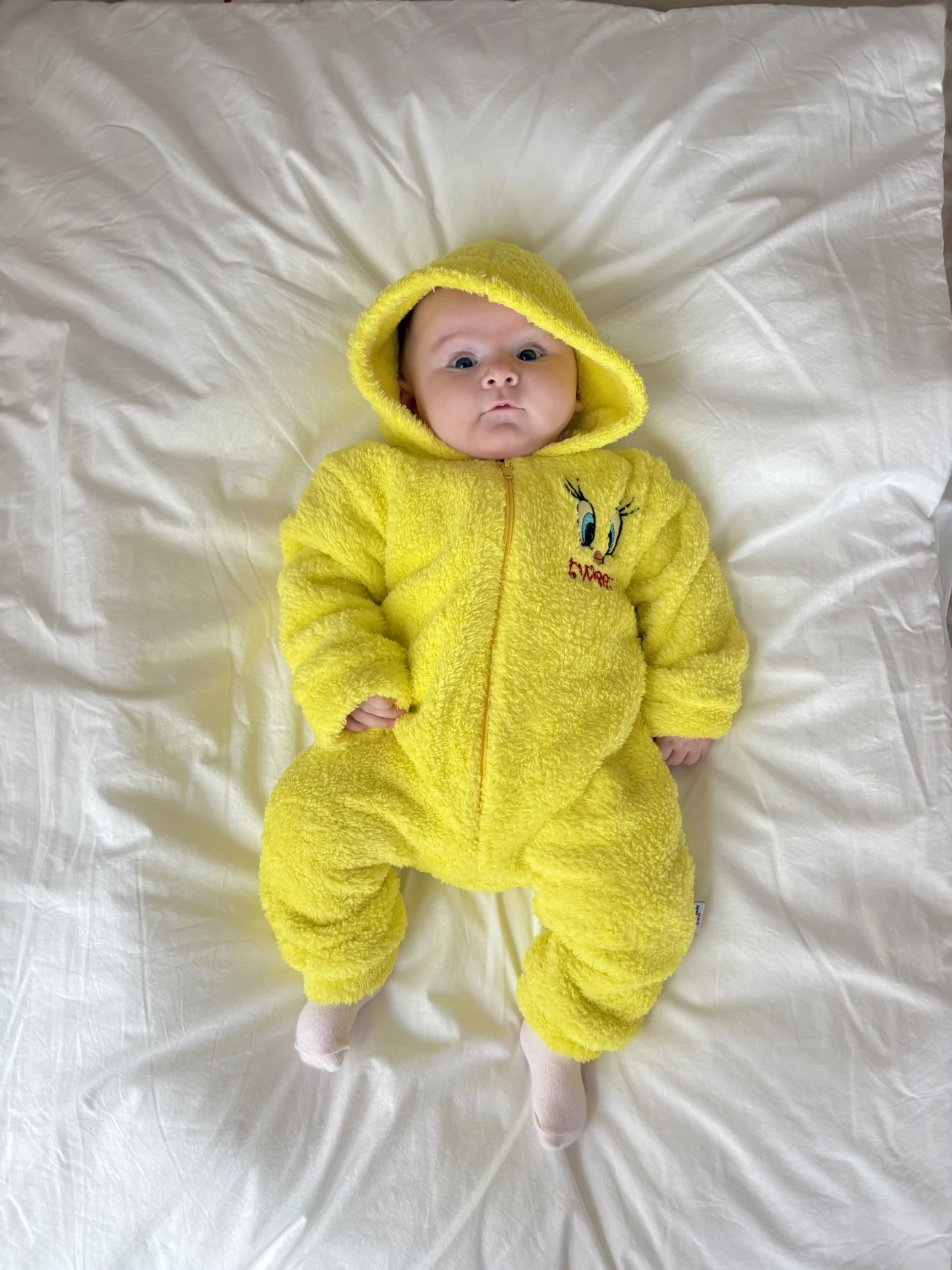 Tweety Desenli Kışlık Welsoft Yumuşacık Tulum 