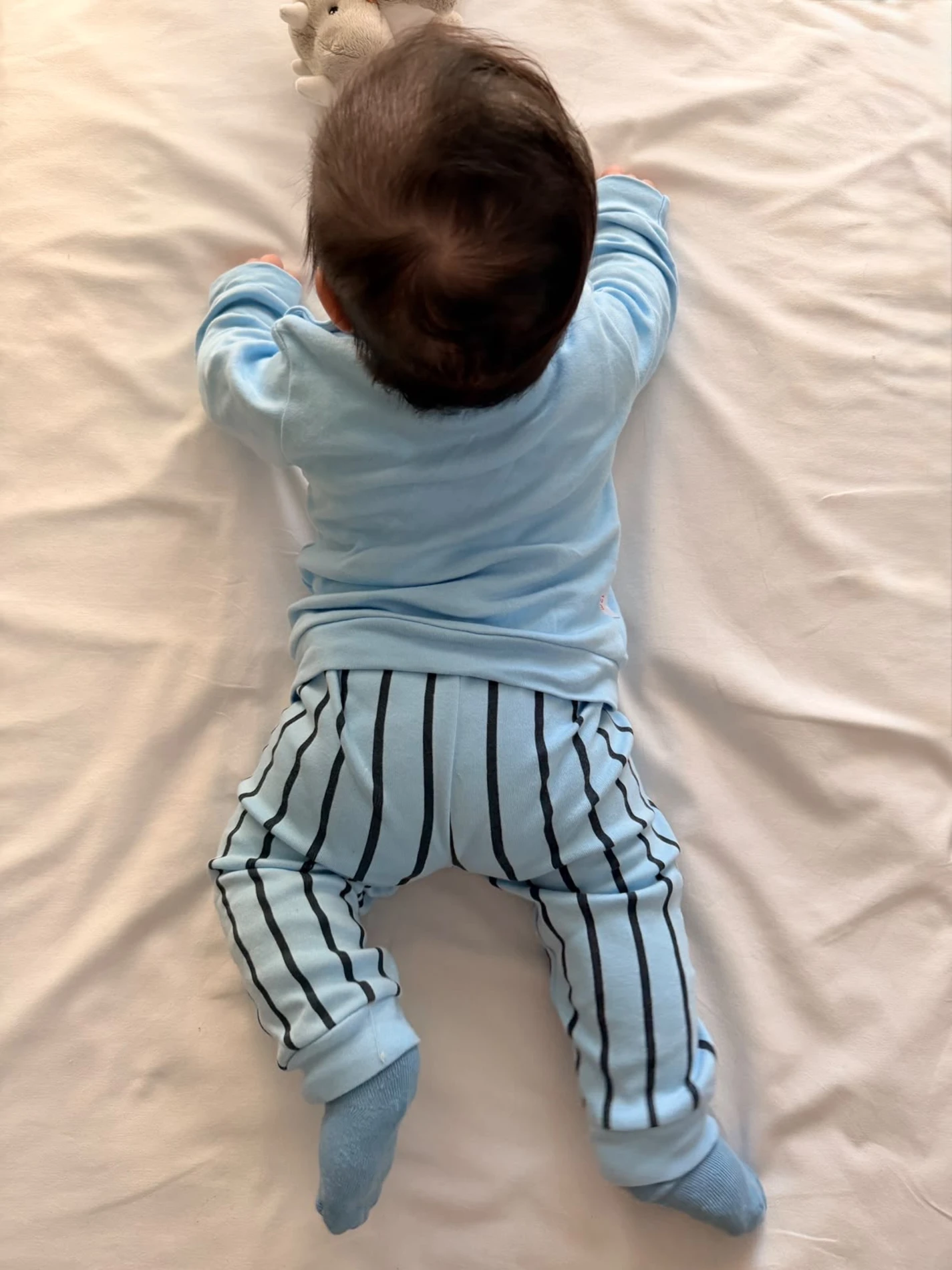 Teddy Bear Çizgili Mevsimlik Takım