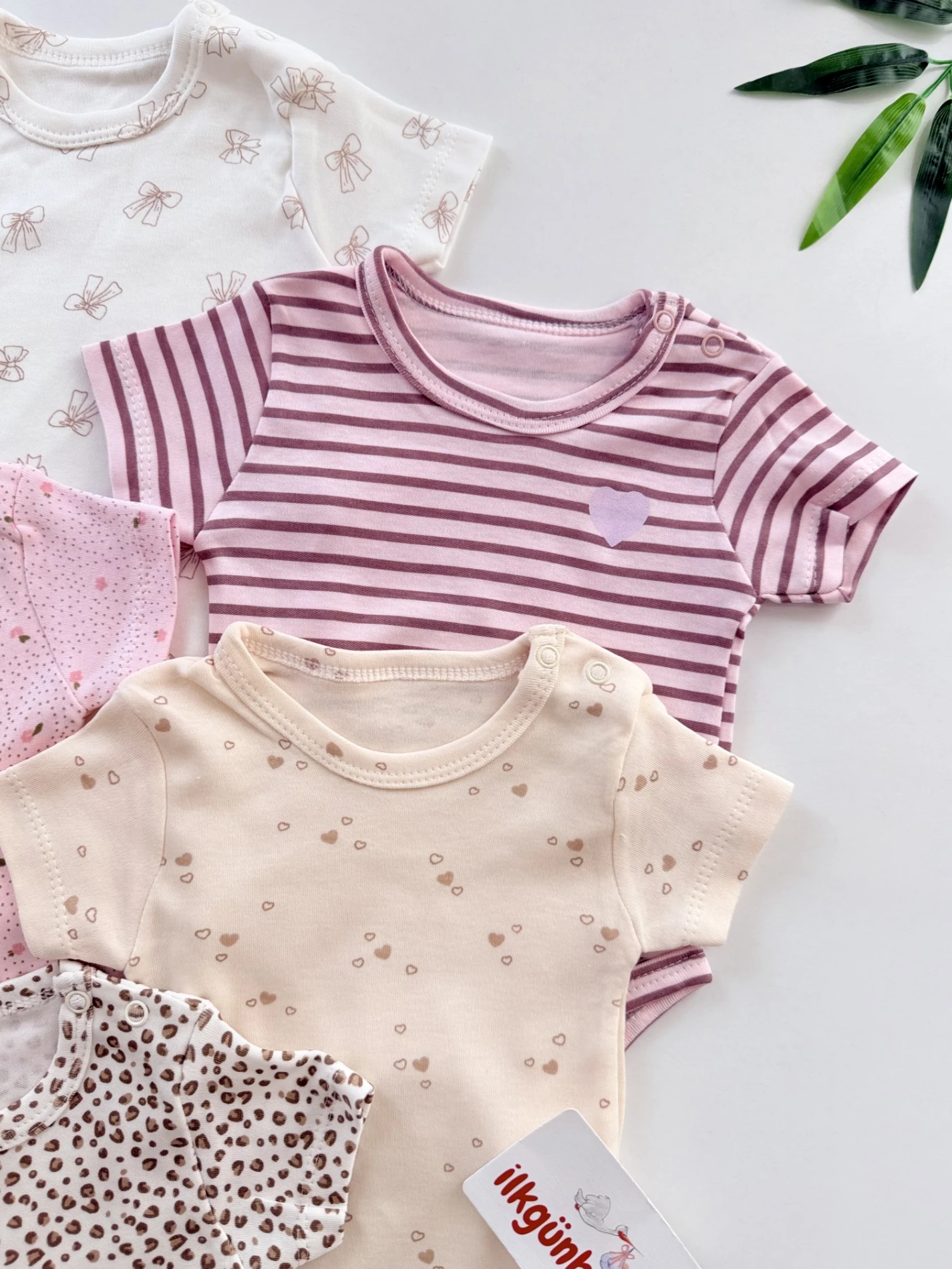 Rengarenk Desenli 5’li Body Set