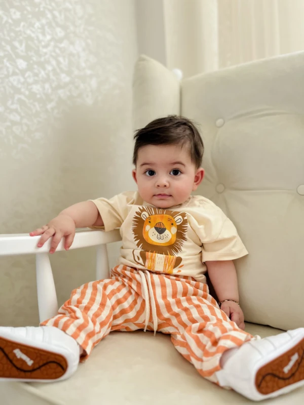 Aslan Figürlü Çizgili Müslin Kumaş 2’li Takım