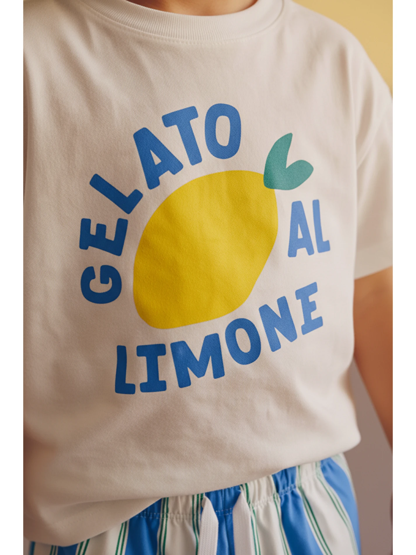 Limon Desenli Çizgili Premium Takım