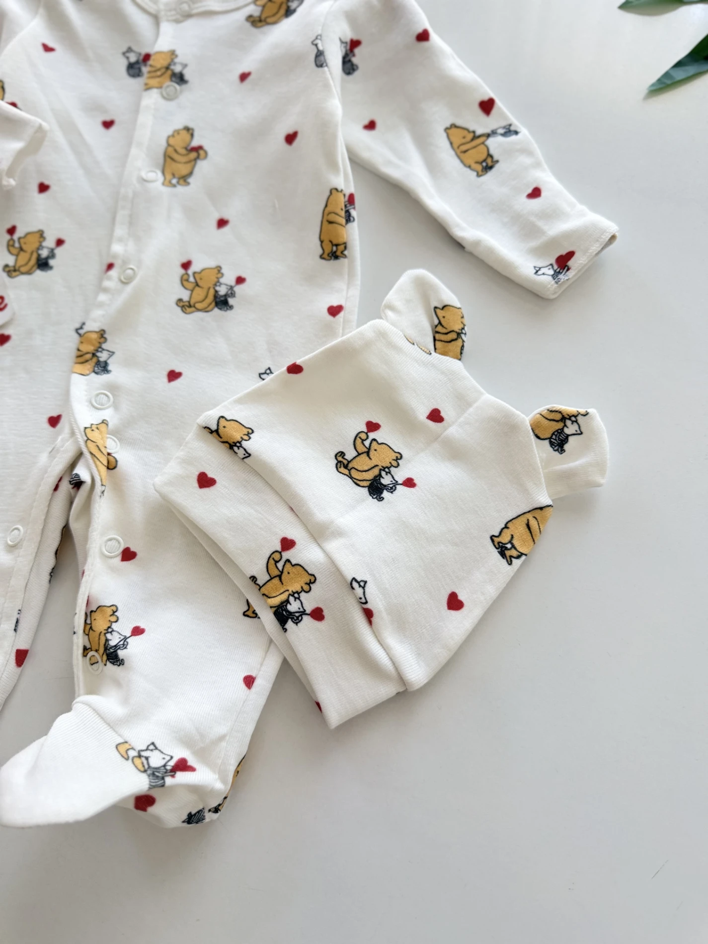 Winnie The Pooh Premium Tulum